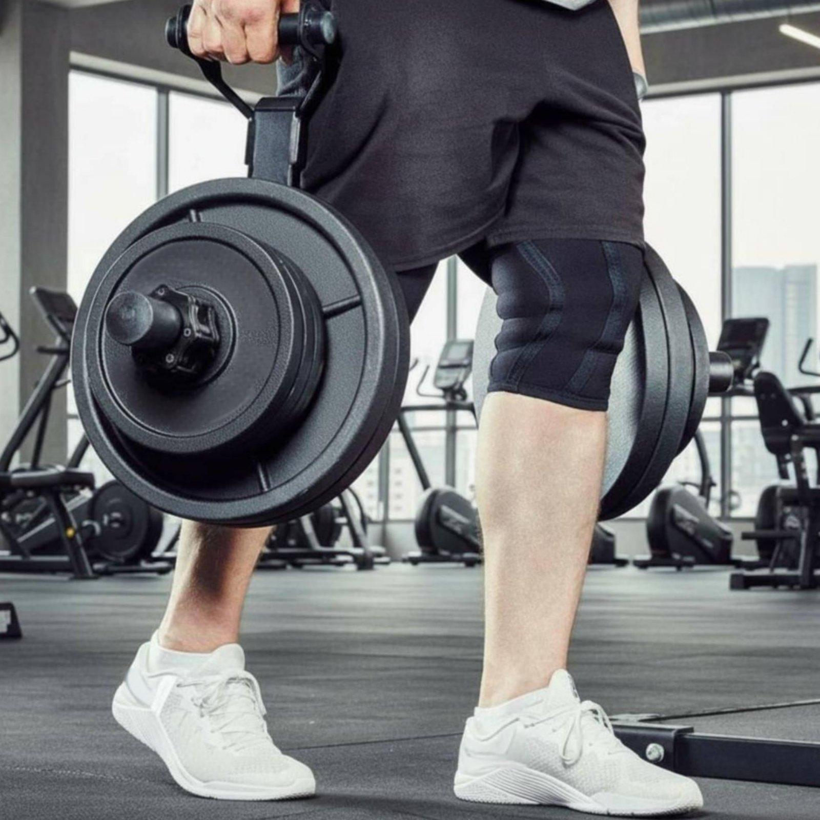 Multi-size Barbell Plate Holde - Home Gym Equipments review and price