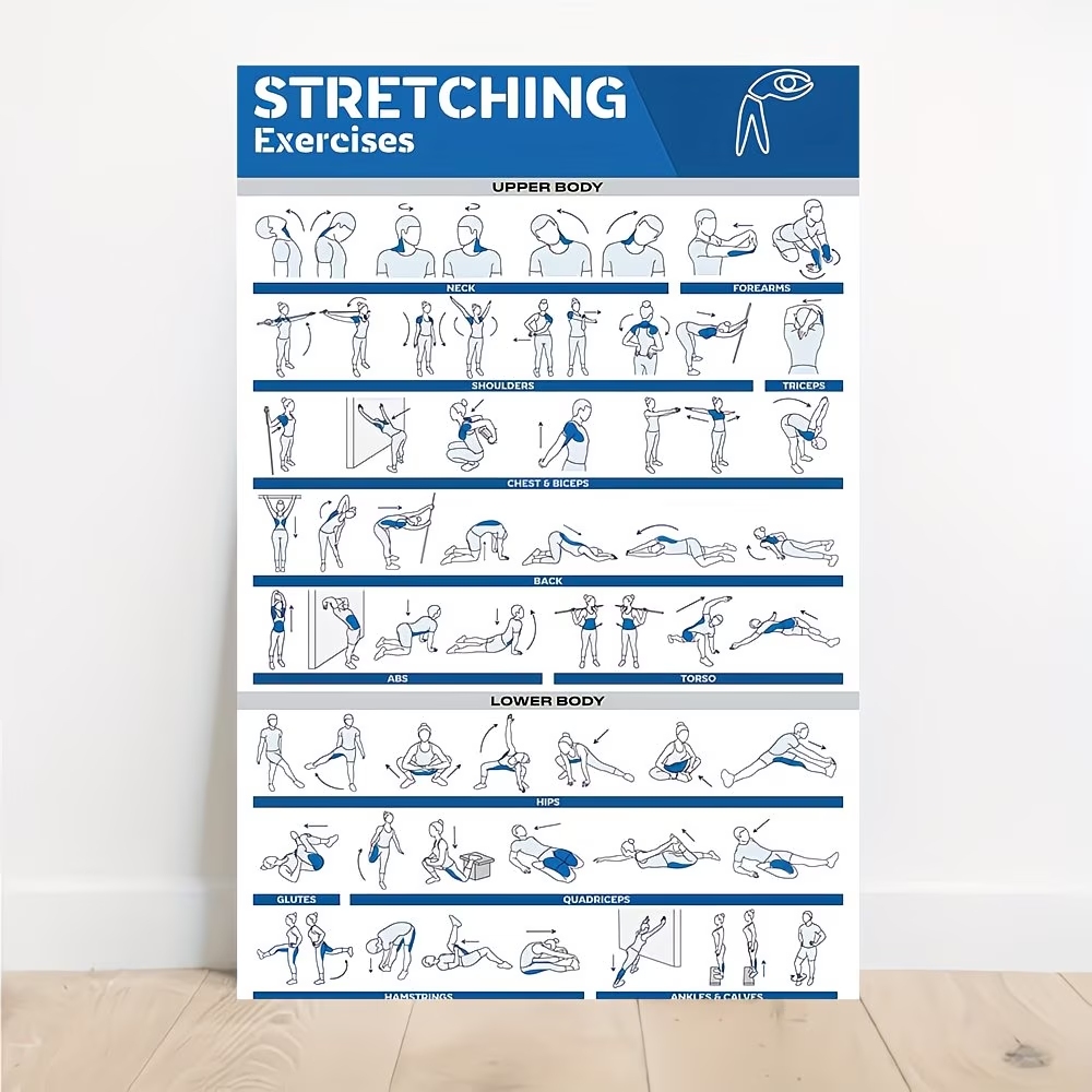 Modern Labeled Full-Body Stret - Home Gym Room review and price
