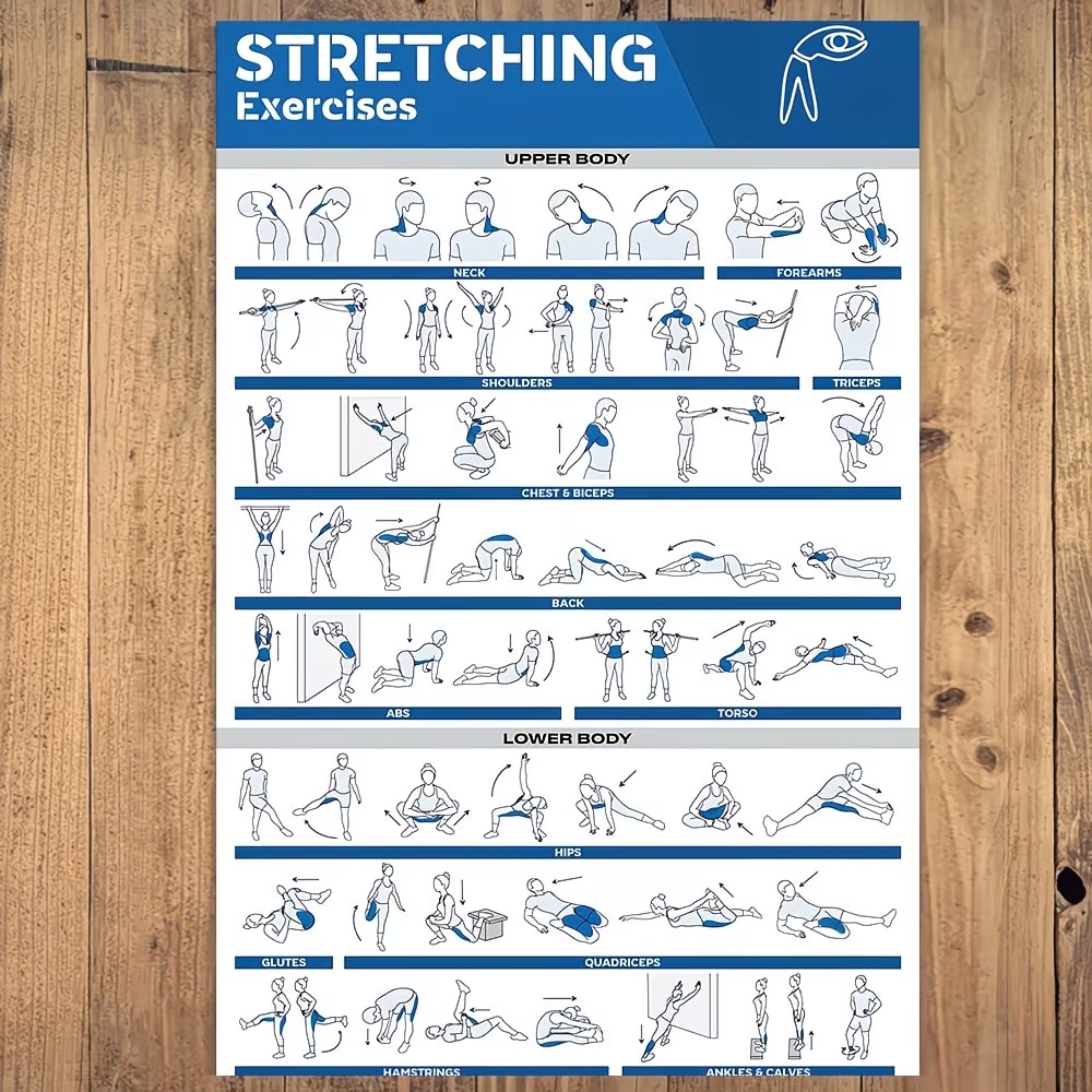 Modern Labeled Full-Body Stret - Home Gym Room review and price