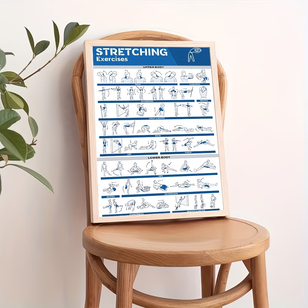 Modern Labeled Full-Body Stret - Home Gym Room review and price
