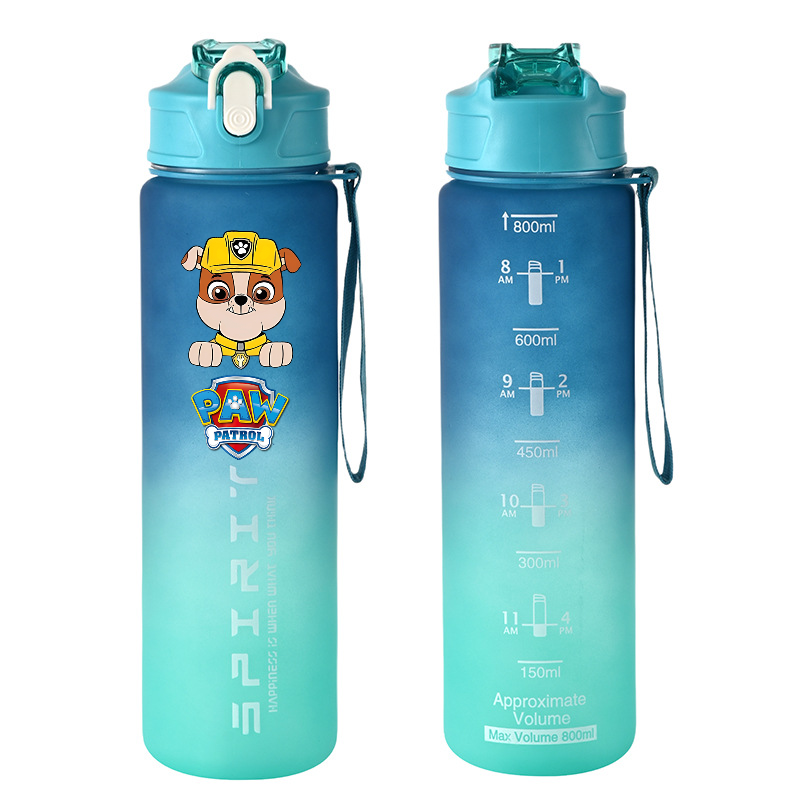 800ml PAW Patrol Sports Water  - Home Gym Room review and price
