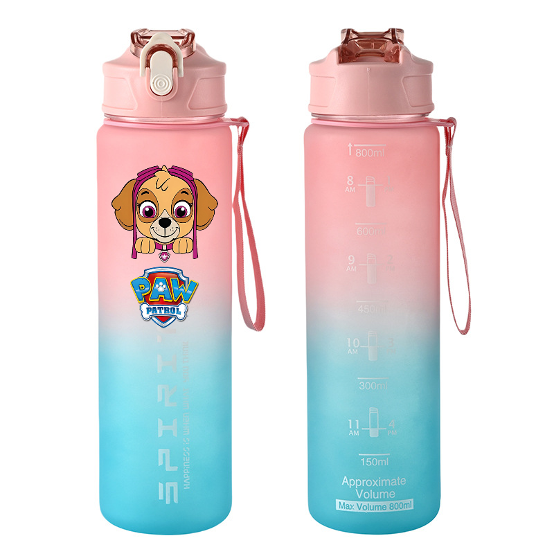 800ml PAW Patrol Sports Water  - Home Gym Room review and price