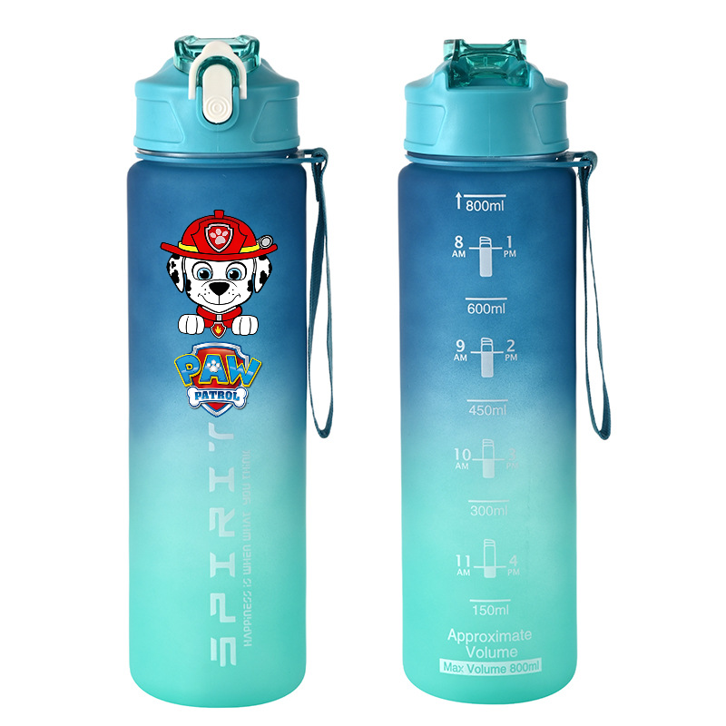 800ml PAW Patrol Sports Water  - Home Gym Room review and price