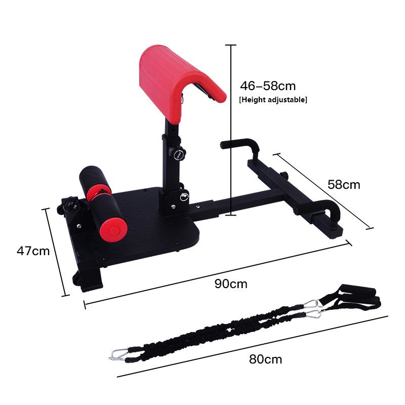 Sissy Squat Machine 3-in-1 Hom - Home Gym Quad Machine review and price