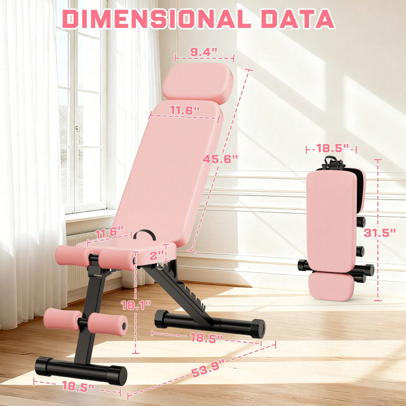 9 Position Adjustable Weight B - Home Gym Weights review and price